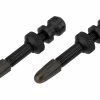 Schwalbe Tubeless Ventil 2er-Set