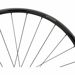 Newmen Advanced SL X.R.25 FADE Disc Center Lock Carbon 28" Laufradsatz -Dynamo Rad Verkäufe 387559